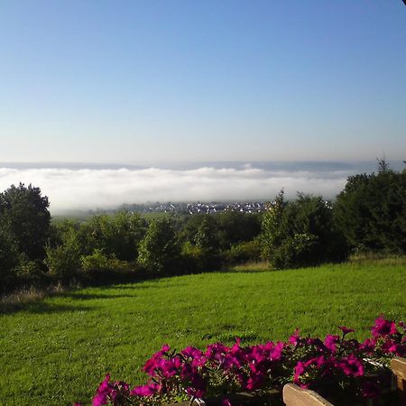 Zum Rebhang Bed & Breakfast Oestrich-Winkel Dış mekan fotoğraf