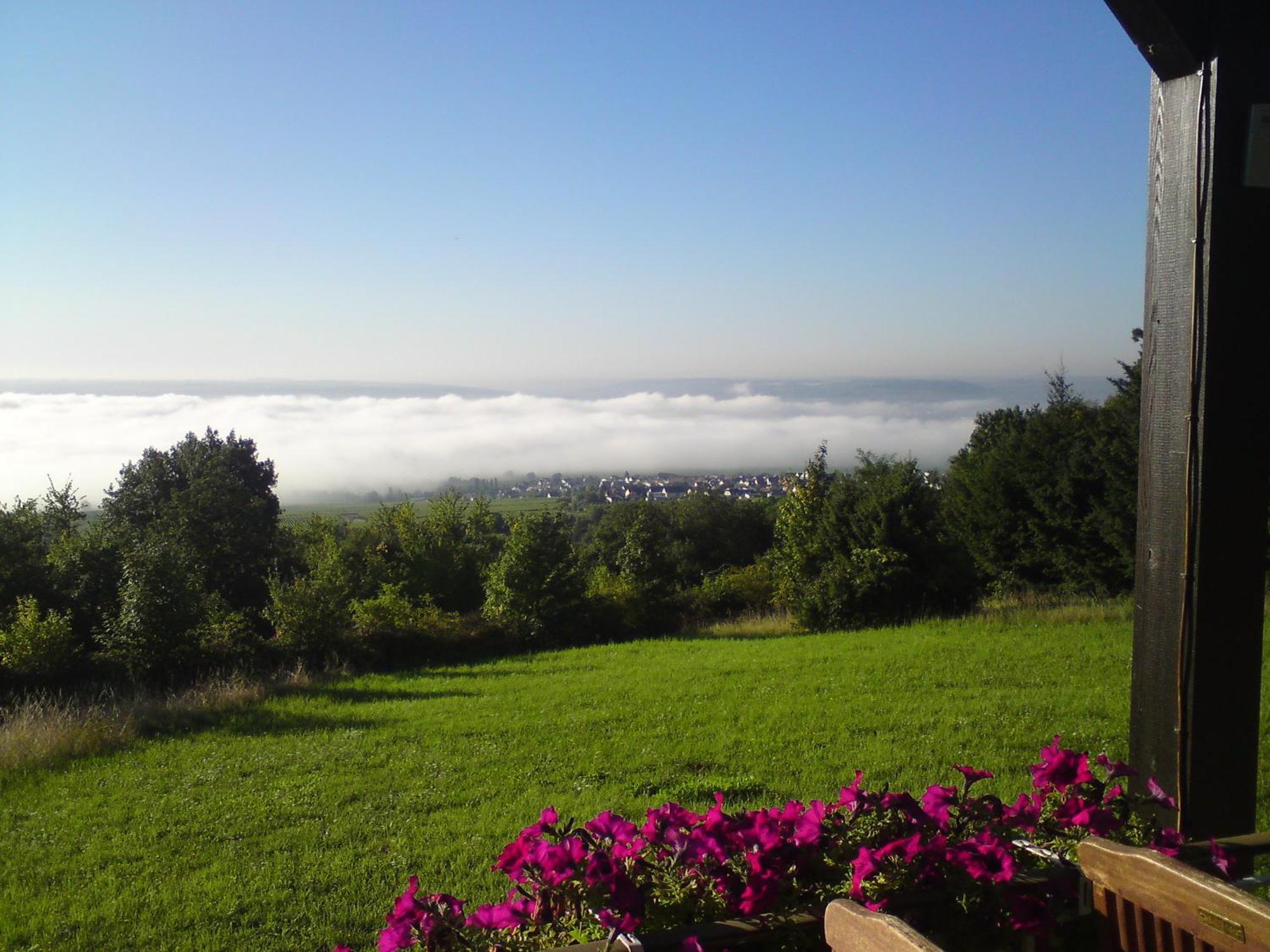 Zum Rebhang Bed & Breakfast Oestrich-Winkel Dış mekan fotoğraf