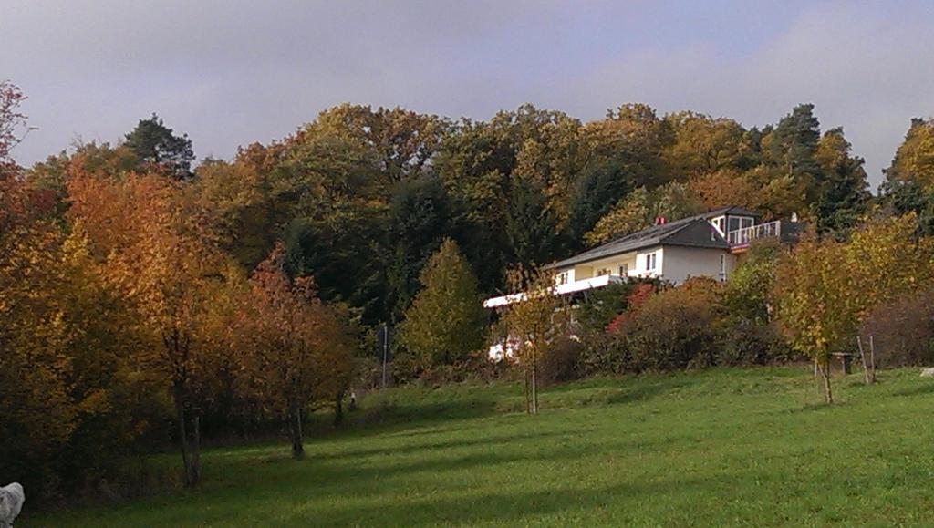 Zum Rebhang Bed & Breakfast Oestrich-Winkel Dış mekan fotoğraf