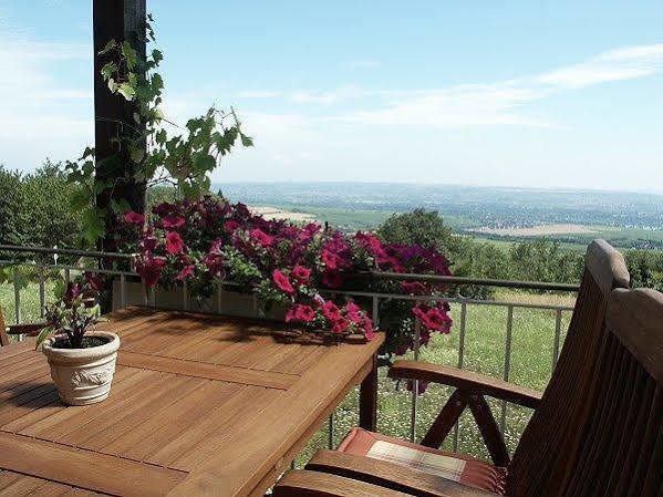 Zum Rebhang Bed & Breakfast Oestrich-Winkel Dış mekan fotoğraf